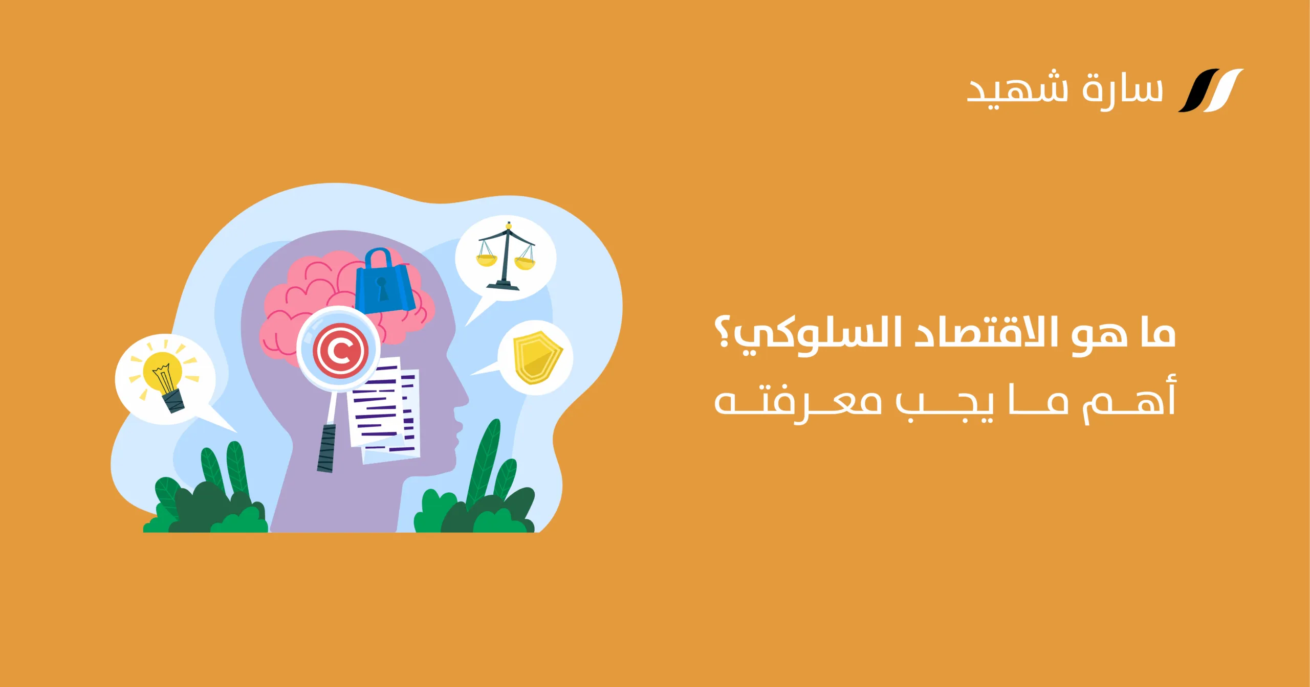 الاقتصاد السلوكي