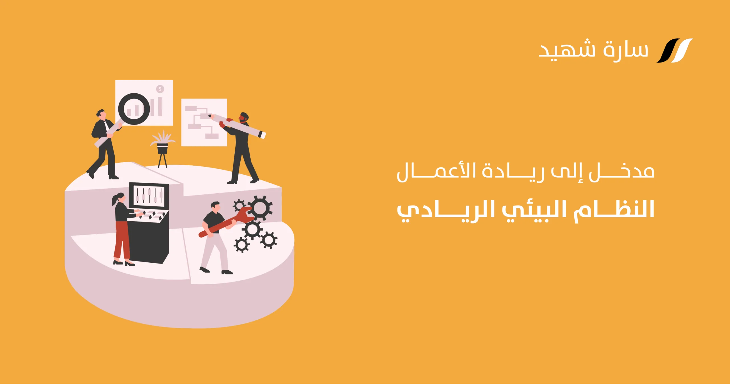ريادة الأعمال